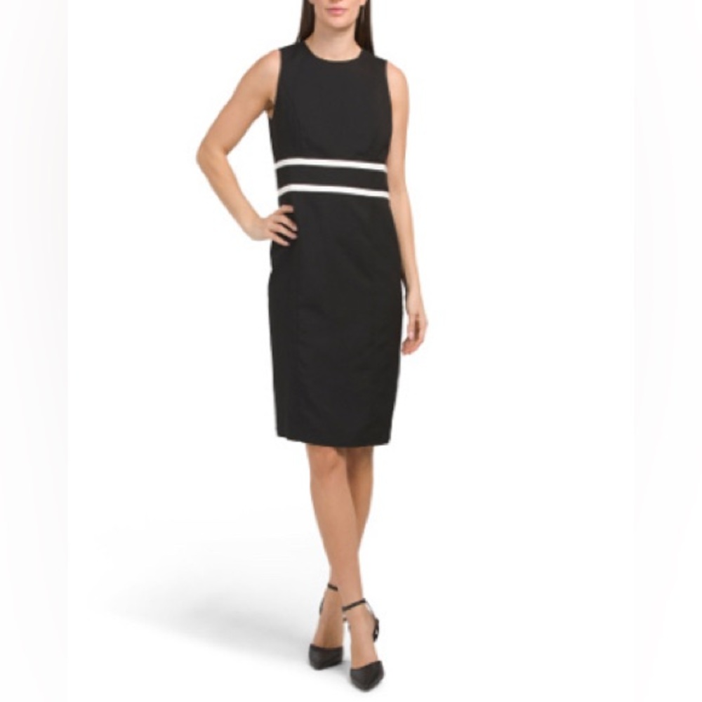 Black Label by Evan-Picone Lined Sleeveless Dress